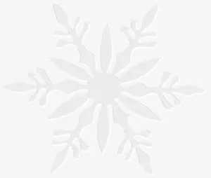 一片精致的雪花免抠