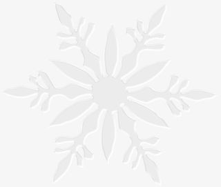 一片精致的雪花免抠