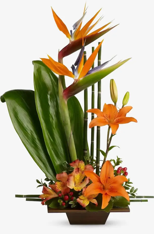 绿叶黄花植物盆栽png免抠