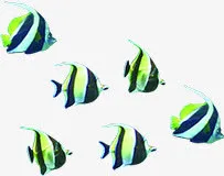 海底效果摄影鱼群免抠