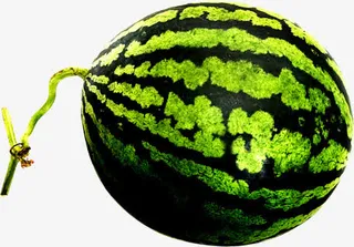 绿色西瓜素材免抠
