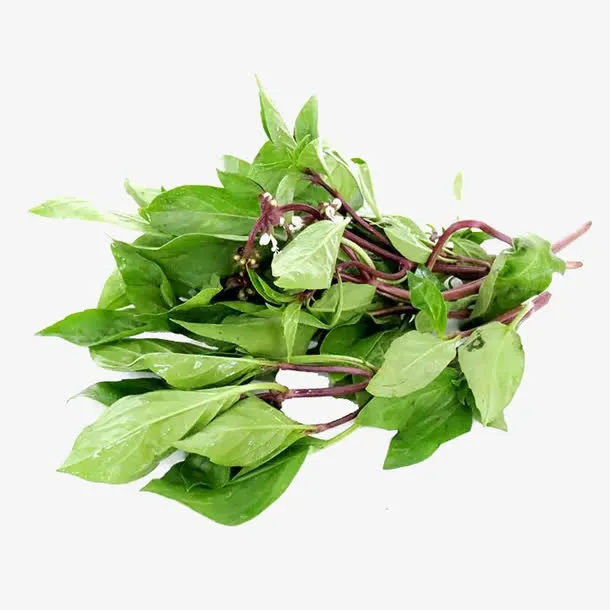 紫菜苔素材免抠