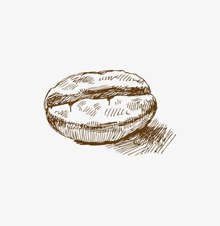 手绘棕色咖啡豆素描免抠
