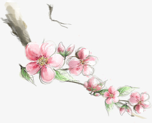 桃花枝条画面免抠
