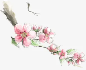 桃花枝条画面免抠