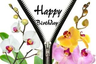 拉链与鲜花免抠