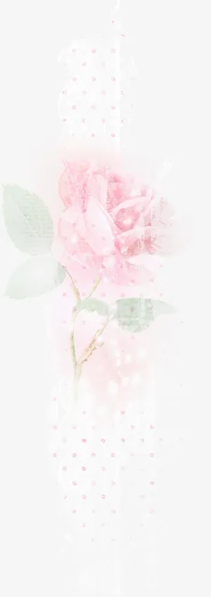 漂亮创意花叶免抠