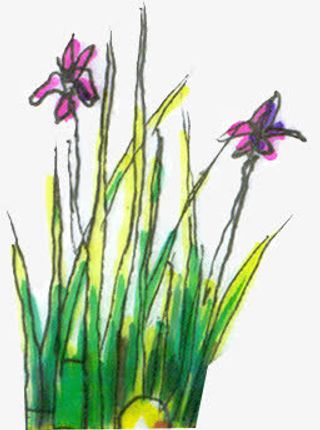 创意花卉合成效果草本植物免抠