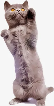 高清手绘逼真站立的小猫免抠