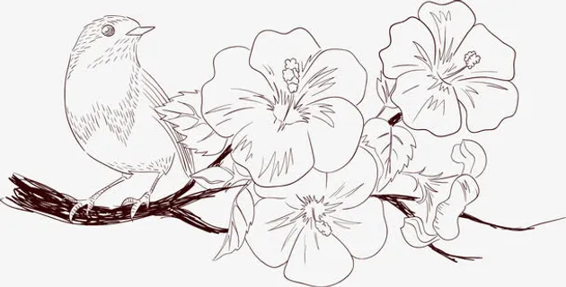 手绘中国花鸟画免抠