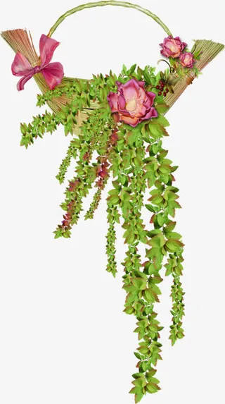 藤 爬山虎 png素材花篮免抠