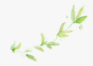 水彩叶子红色叶子树枝免抠