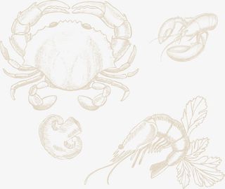 插画大龙虾免抠