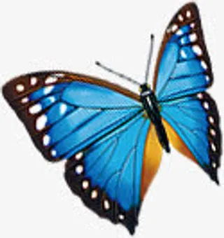 蓝色唯美蝴蝶创意免抠