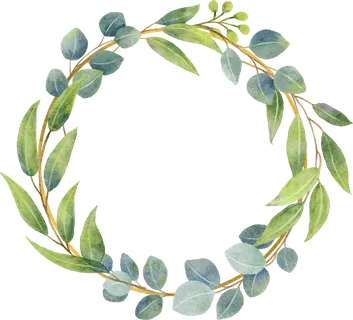 圆形标签,,贴纸,绿色高清