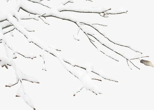 树枝上的雪免抠