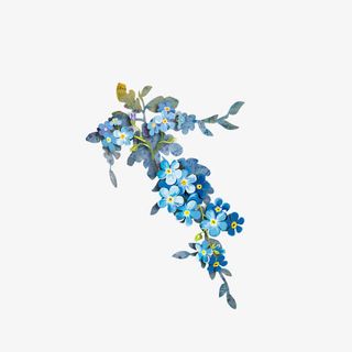 蓝色的花免抠