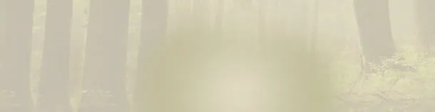 梦幻森林淘宝海报背景