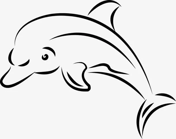 线描海豚免抠