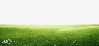 清新简约绿色草地边框纹理免抠