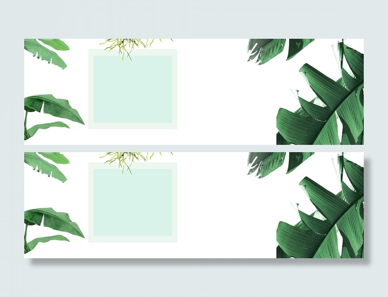 春季绿叶清新白色淘宝海报背景高清