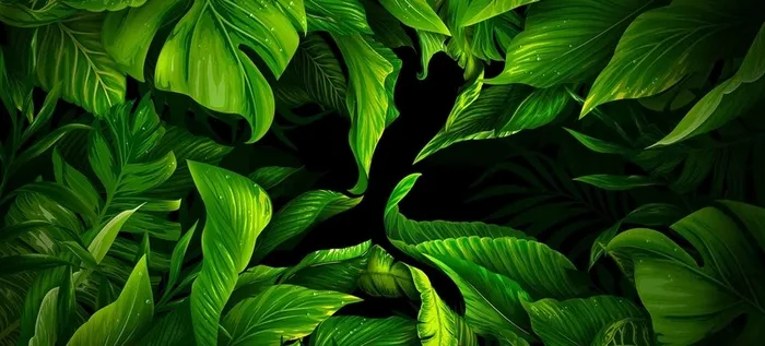 绿色植物背景高清