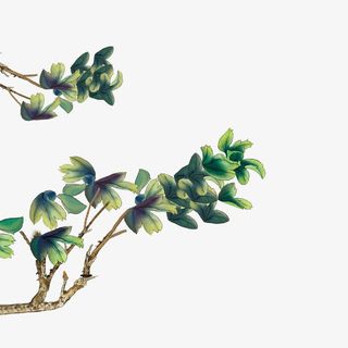 卡通清新风格手绘树枝绿叶免抠