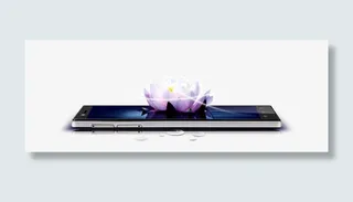 荷花手机展示图免抠