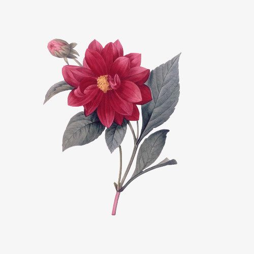 花免抠