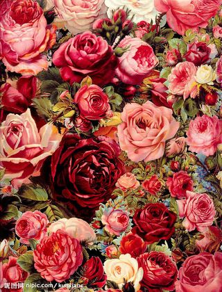 美丽俗雅的玫瑰花底纹免抠