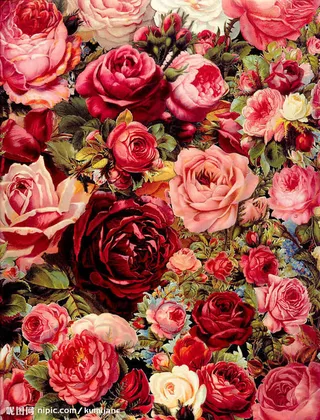 美丽俗雅的玫瑰花底纹免抠