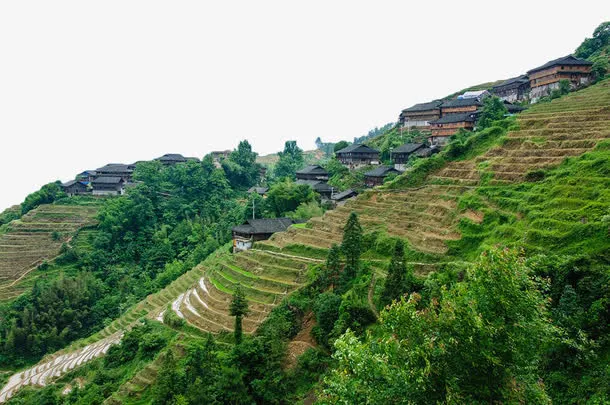 云南梯田免抠