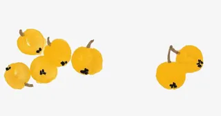 手绘黄色枇杷免抠