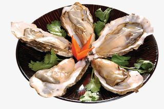 一份生蚝免抠
