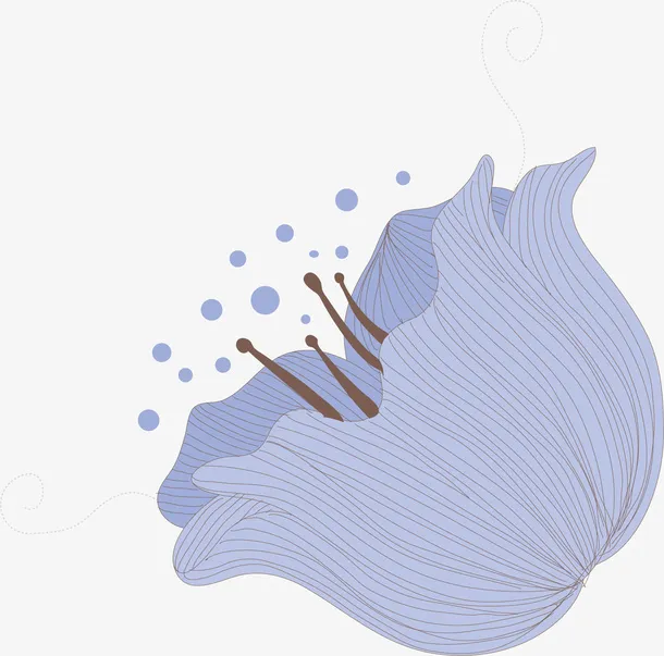 花瓣素材图片免抠