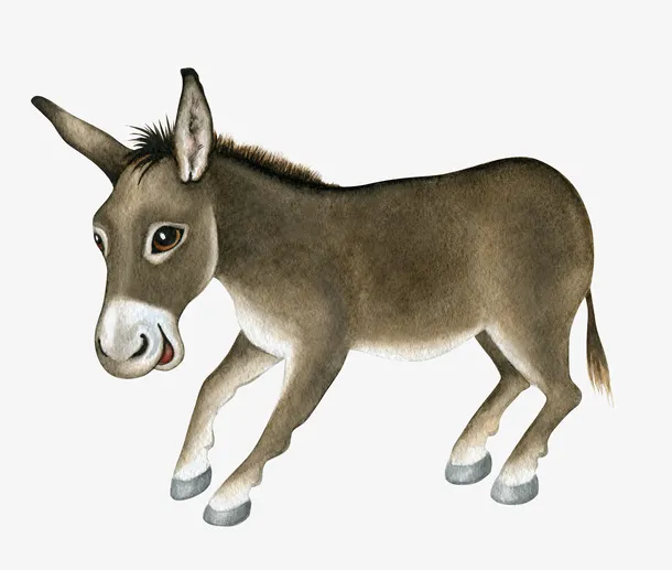 小毛驴免抠