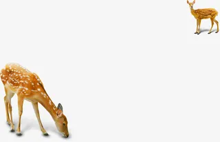 春季大自然梅花鹿免抠