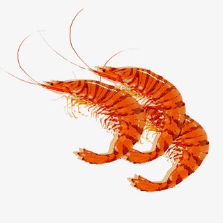 橘黄色大虾海鲜图案免抠