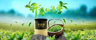 茶叶全屏促销海报背景高清