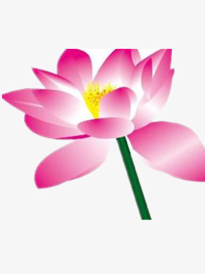 红色荷花矢量图免抠
