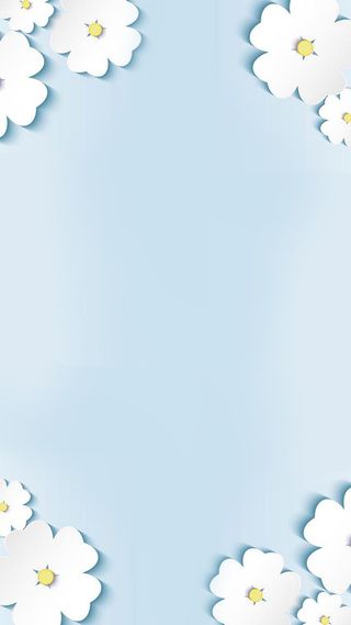 白色立体花H5背景高清