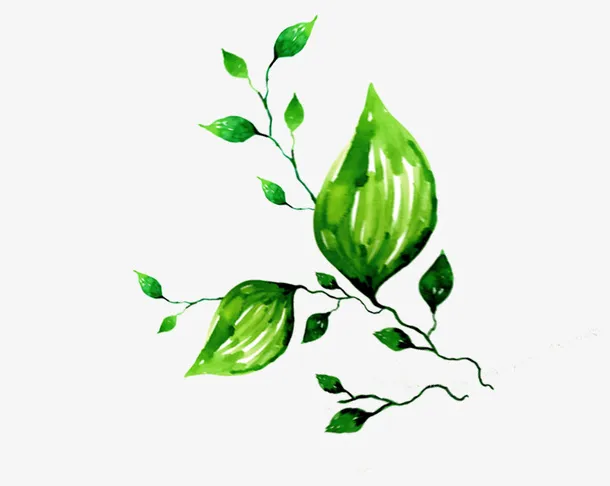 树枝免抠