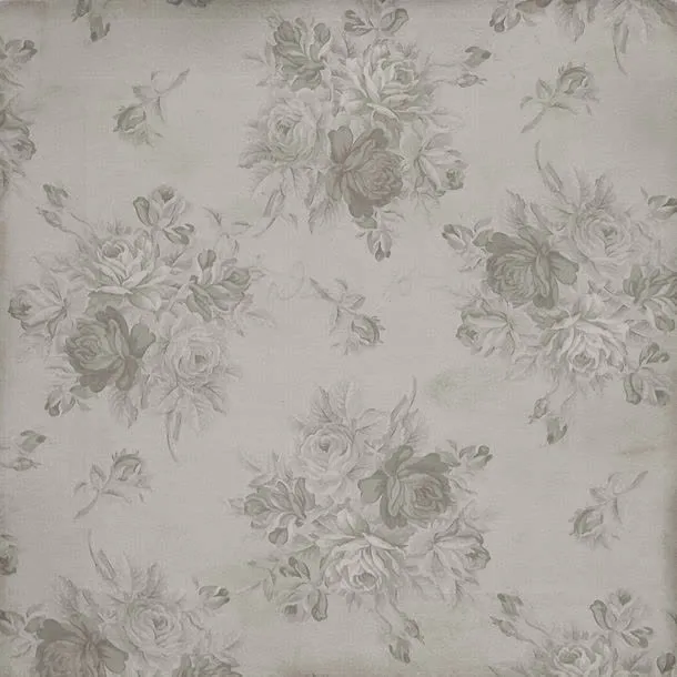 灰色背景下的花朵