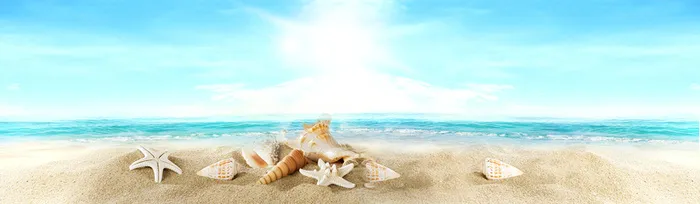 阳光大海海星背景高清