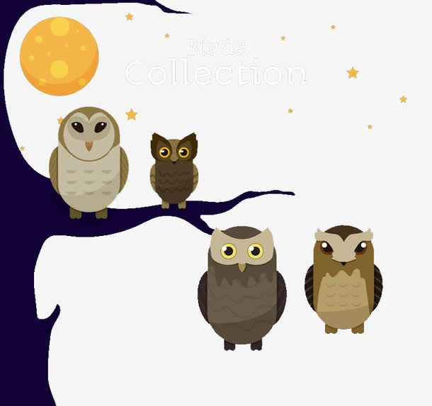 4只站在树枝上的猫头鹰免抠