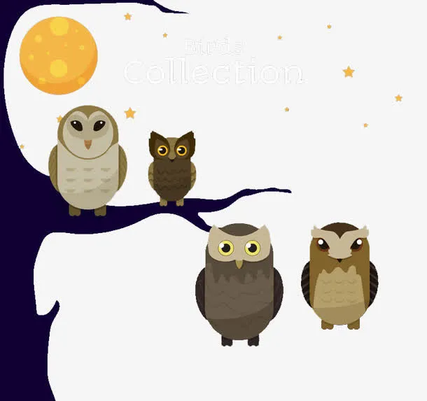 4只站在树枝上的猫头鹰免抠