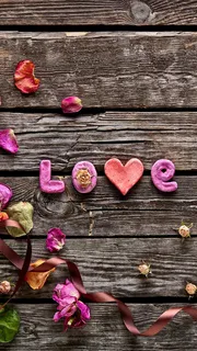 情人节爱心红花H5背景素材高清