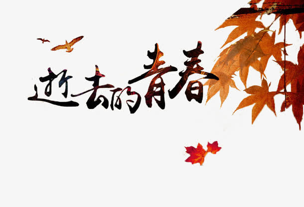 致青春五四展板设计免抠