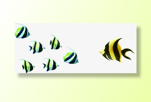 春天手绘黄色金鱼免抠