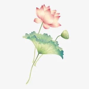 卡通手绘荷花免抠
